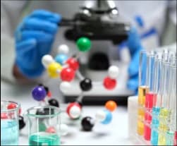 Catalysts & Enzymes